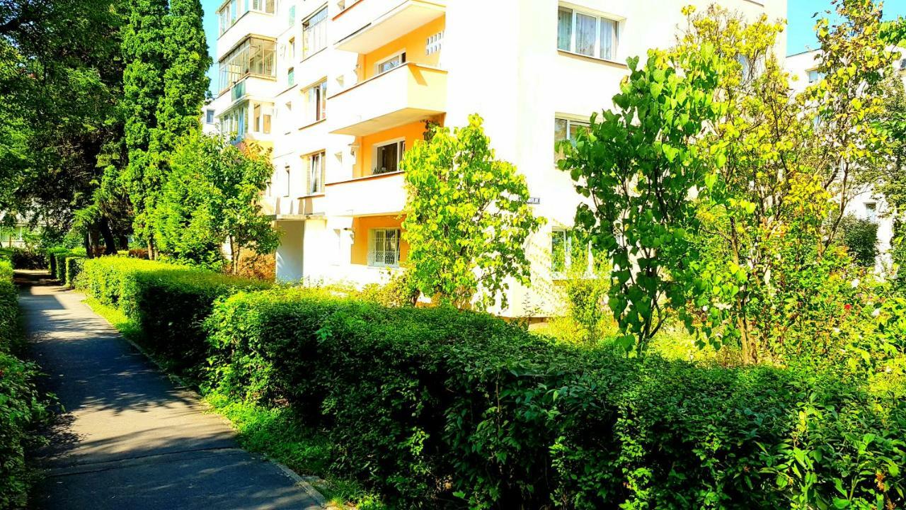Luxury Paul Apartment Green, Private & Accessible Braşov Dış mekan fotoğraf